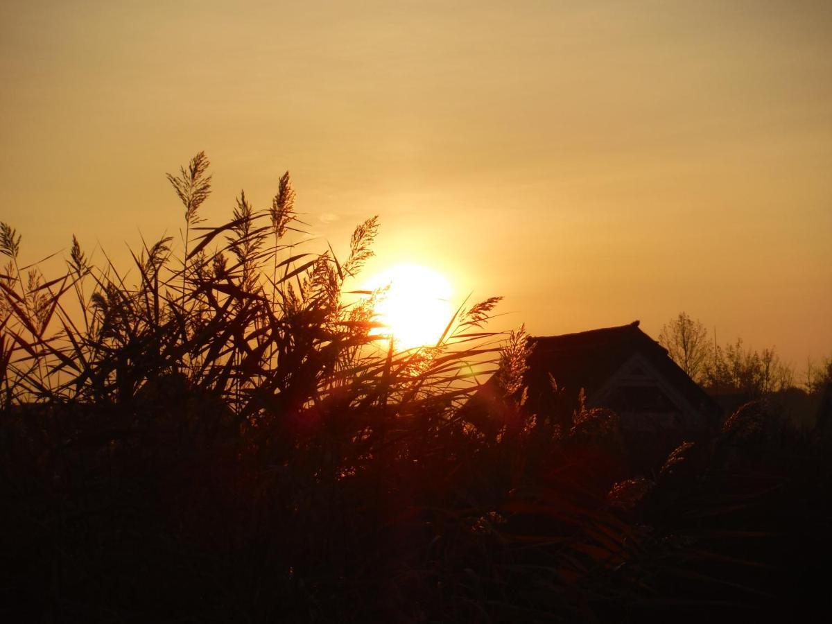 Pfahlbau Rust/Neusiedlersee Sunset I Exterior foto